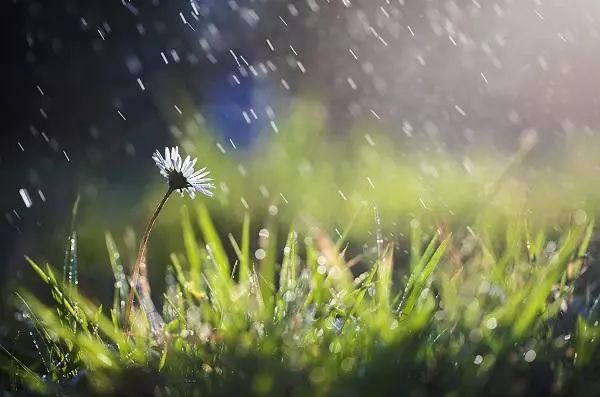 探索雨的魅力，最新雨水图片的启示